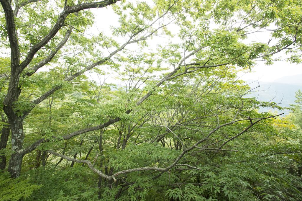 Gora Hanaougi Madoka No Mori Hakone Oda fotoğraf